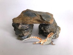 Small JUVENILE Reptile Phyllite Schist Basking Platform/Bridge 5 x 2.5 x 2″