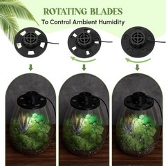 LED Glass Plant Terrarium Kit – Desktop Planter for Succulents, Moss & Mini Gard
