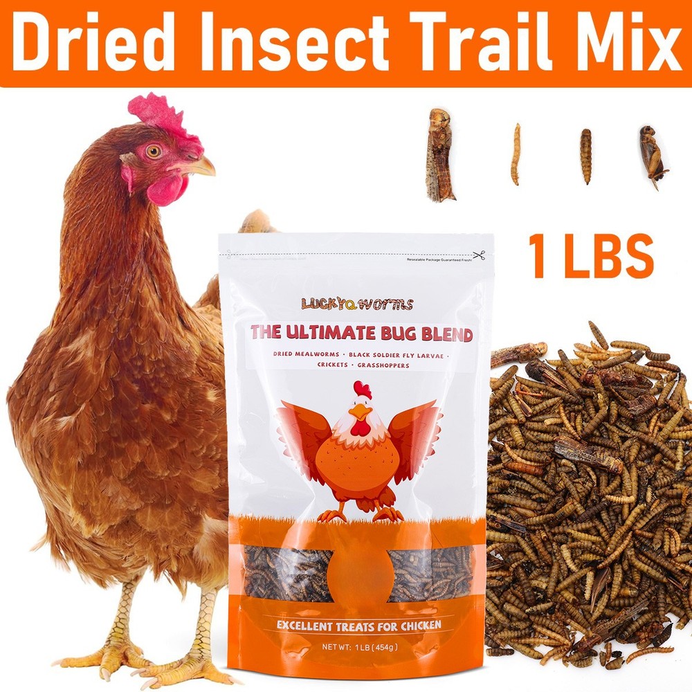 1LBS Bulk Dried Insect Trail Mix Dried Mealworms BSFL Dried Crickets Grasshopper