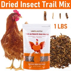 1LBS Bulk Dried Insect Trail Mix Dried Mealworms BSFL Dried Crickets Grasshopper