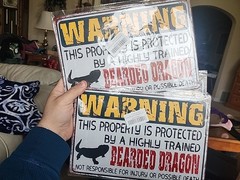 Lot Of 3 Beware Of Bearded Dragon Sign Reptile Dragons Bearded Dragon…