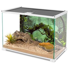 AWERT 72×24 inches Foggy Forest Terrarium Background Stone Green Tree Tropica…
