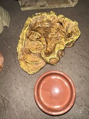 Reptile Waters Feeders Magnetic Hide Rock