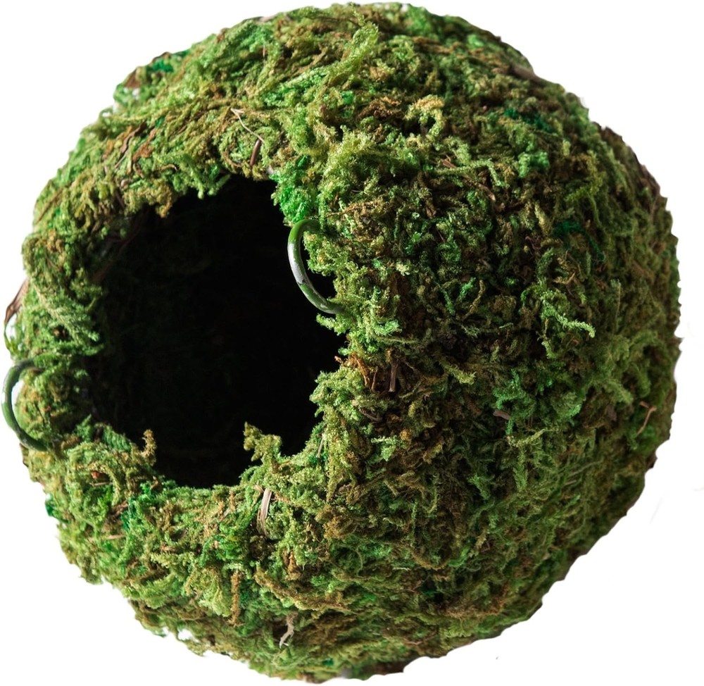 Galápagos 05348 Mossy Cave Hide 6″ Green Sphagnum