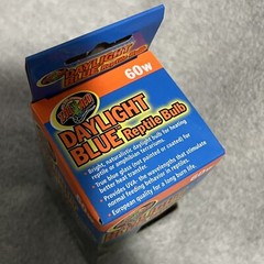 Zoo Med Daylight Blue Reptile Bulb 60 Watt