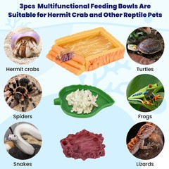 5 Pack Hermit Crab Water Pool Hermit Crab Food Bowl Dish Reptile Terrarium Wa…