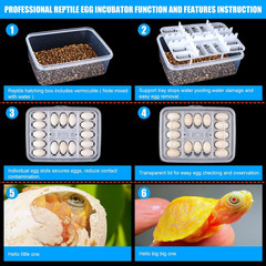 16 Grids Reptile Egg Incubator Box Turtle Lizard Gecko Snake Hatching Container