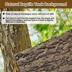2PCS Reptile Cork Bark Background,15.74 x 11.81 Inch Natural Cork Wood Terrar…