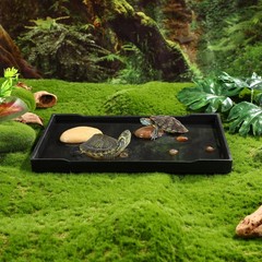 Reptile Dish Tortoise Bathing Pool Food Bowl Baby Reptiles Water Large