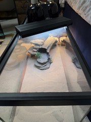 Reptile 20g tank w/supplies