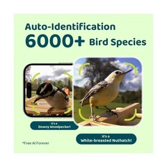 Smart Bird Feeder w/ Camera Solar 2K Live Stream AI Detect Wood