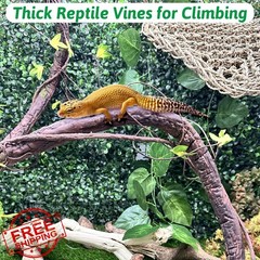 VCEPJH Reptile Vines Thick Terrarium Plants, 78″ Climbing Branch Green