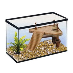 Basking Platform Turtle Pier Platforms Turtles Floating Island Fish