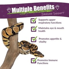 AMBER NATURALZ Reptaid XL Herbal Supplement for Large Reptiles Assorted Sizes
