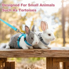 Rabbit Harness and Leash, Small Animal Harness( 2Pcs, Beige)