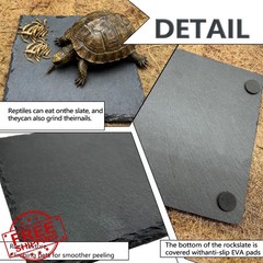 Tfwadmx Reptile Basking Platform 6″ Slate Feeding Dish