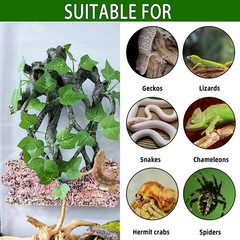 BNOSDM Reptile Climbing Branch,Crested Gecko Climb Corner Branch with Suction…