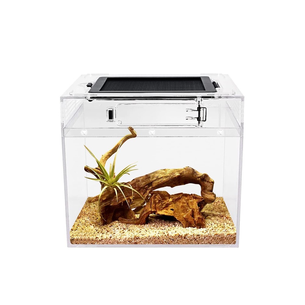 mini Reptile Terrarium,8″ x 8″x 8″ Reptile Tank with Full View Visually Appea…
