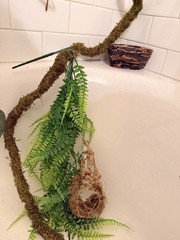 Reptile Habitat Accessories Bundle for Terrarium