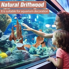 2-Piece 10-14 inch Natural Aquarium Driftwood Decorations – Aquascape Decor f…