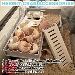 Anranmm Hermit Crab Accessories White