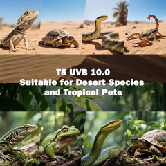 T5 10.0 UVB Reptile Light Bulb 24W, UVA UVB Light Bulb for Reptiles, 2 Pack Rept
