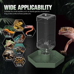 Grey Green Reptile Water Dispenser Small Bearded Dragon Bowl
