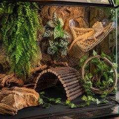 Bearded Dragon Tank Accessories, Reptile Mat Hammock Plants Bridge Jungle Cli…