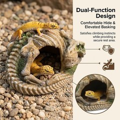 Reptile Hide Skull Animal Skeletons Decorations, Aquarium Hideaway Cave Fish …
