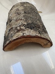 Reptile Cave Lizard Cedar Wood New