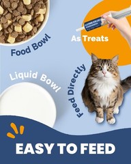 L-Lysine for Cats – Lysine – Immune System, Normal Eye Function and…