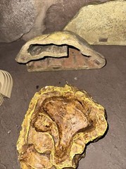 Reptile Waters Feeders Magnetic Hide Rock