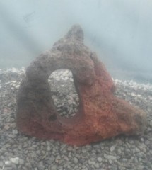 FISH TANK AQUARIUM STONE LAVA ROCK LIZARD REPTILE CLIMB HIDE HARDSCAPE AQUASCAPE