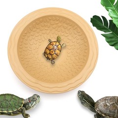 Turtle Bathing Tub Reptile Feeding Bowl Small Amphibian Swimming Pool Round P…