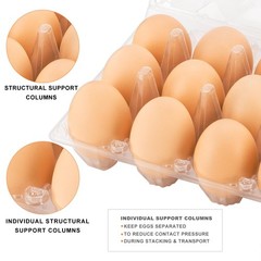 Lixavaer 100 Pack Clear Plastic Egg Cartons, 3×4,100Pack, transparent
