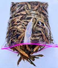 1 Gallon Organic Willow Leaves For Reptiles