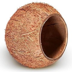 Raw Coconut Shell House for Gecko Snake Ball Python Reptile Hide