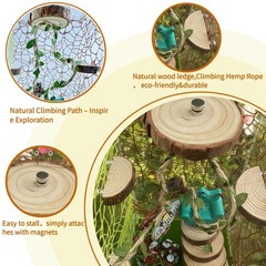 Jumping Spider Enclosure Accessories Kit, Habitat Decor—3 Wood Ledges & 1
