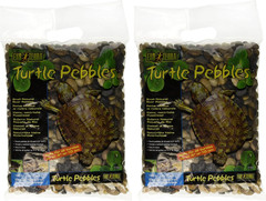 Turtle Pebbles, Small (Pack of 2)