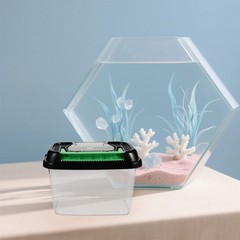 Outdoor Pet Breeding Box Insect Container Fish Plastic Turtle Tank