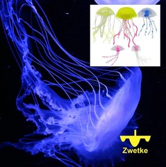 Fantasy Jellyfish for Jellyfish Lamps – Premium Set of 5 Multi Size & Colo