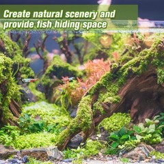 2-Piece 10-14 inch Natural Aquarium Driftwood Decorations – Aquascape Decor f…