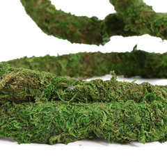Moss Vine for Reptiles, Bendable Climbing Vines Reptile Tank Accessories, Natura