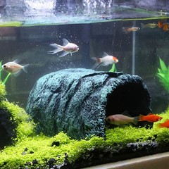 Hide Cave Aquarium Decoration Premium Resin Natural Hideout Terrarium Reptile