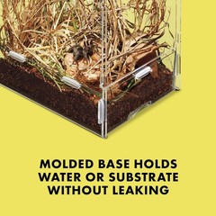 Large Arboral Micro Habitat Terrarium with Locking Latch for Secure Viewing