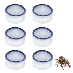 6 Pcs Spider Mini Water Bowl Tarantula Micro Ceramic Dish for white