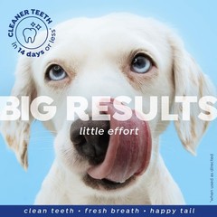 Fresh Dental Water Additive for Dogs 2-Pack, 18oz Each — Dog Breath Freshener…