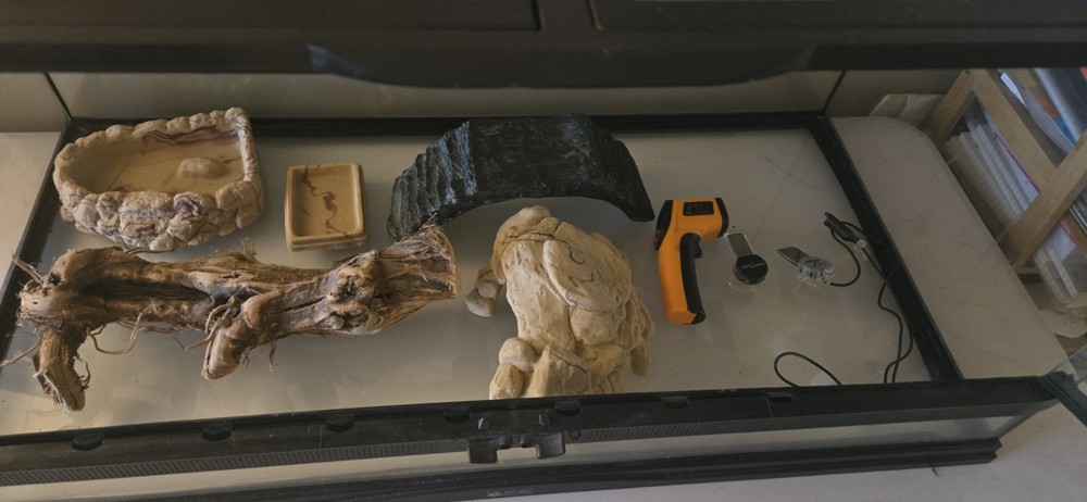Reptile Tank & Accessories