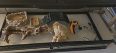 Reptile Tank & Accessories