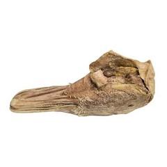 Freeze Dried Duck Heads for Hermit Crabs – Protein, Fat – Hermit Crab Food Enric